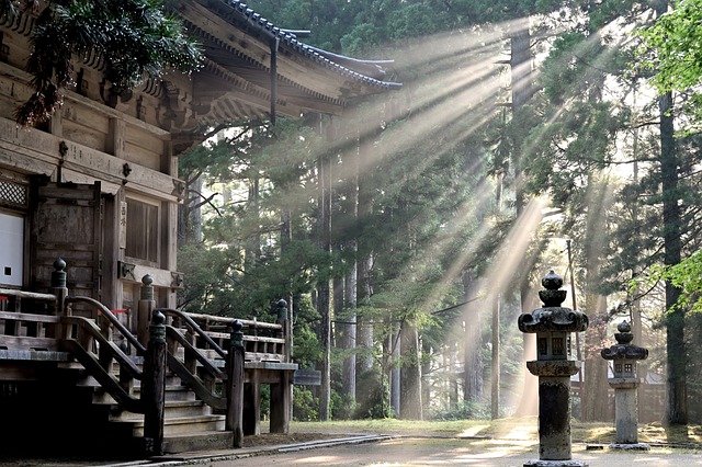 Verfijnd reizen: jouw exclusieve huwelijksreis of luxe vakantie in Japan