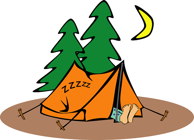 Exploreren van het camperleven: soorten, onderhoud, leef tips en topbestemmingen